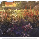 Farm Garden by Philip Craig 15.750x11.750 Art Print Poster 111965