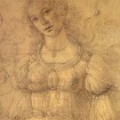 Drawing of a Woman by Sandro Botticelli 16x20 Art Print Poster 535030
