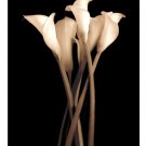 The Gathering by John Rehner 19.750x27.5 Art Print Poster 778578