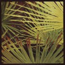 Three Palms, Panel A by Debra Jackson 19x19 Art Print Poster 477596