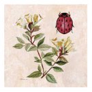Garden Friends #4 by Consuelo Gamboa 7x7 Art Print Poster 37050