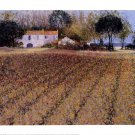 Campagne A Mougiau by Andre Bourrie 16x14 Art Print Poster 160175