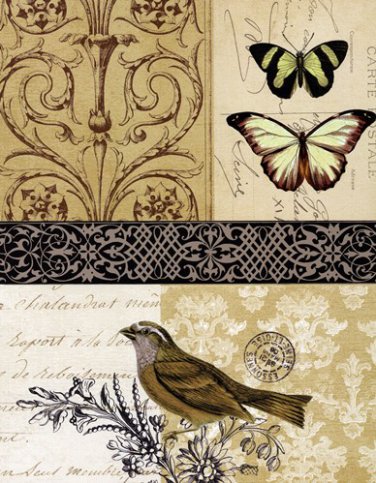 Golden Elegance II by Paula Scaletta 11x14 Art Print Poster 785914