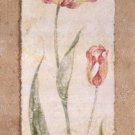 Tulip by Pamela Gladding 8x20 Art Print Poster 541258