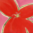 Red Flower With Pink Background by Miriam Bedia 7x7 Art Print Poster 255559