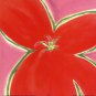 Red Flower With Pink Background by Miriam Bedia 7x7 Art Print Poster 255559