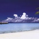Tropical Beach by  Unknown 36x12 Art Print Poster 538942