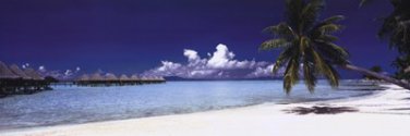 Tropical Beach by  Unknown 36x12 Art Print Poster 538942