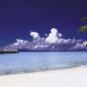 Tropical Beach by  Unknown 36x12 Art Print Poster 538942