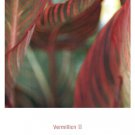 Vermillion II by Heather Johnston 11.750x15.750 Art Print Poster 292655