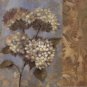 Hydrangea on Soft Blue by Silvia Vassileva 12x12 Art Print Poster 699977