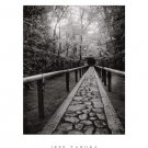 Stone Path by Jeff Zaruba 16x20 Art Print Poster 701633