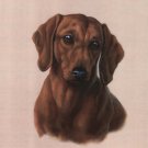 Miniature Dachshund by Judith Gibson 8x10 Art Print Poster 505267