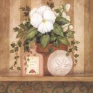 Pansy and Shell by Annie Lapoint 8x10 Art Print Poster 633287