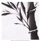 Ancient Essence II by Katsumi Sugita 19.750x19.750 Art Print Poster 743149