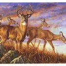 Evening Gold by Carolyn Mock 17x13 Art Print Poster 172633
