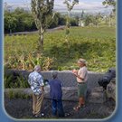 Lyman Estate Kona Coffee, Certified Organic