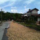 Fair Trade, Organic Rwandan