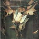 Winchester Duck Hunting Ice Box Magnet #M938