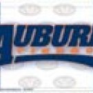 Auburn License Plate #31358