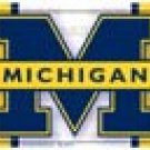 Michigan License Plate #31363