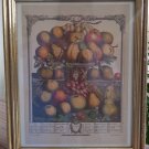 Robert Fruber The Twelve Months of Fruit 1732 December Framed - The Hope Collection - Sealed!