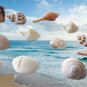 Kate Aspen Genuine Sea Shell Place Card Holders - Set of 12!