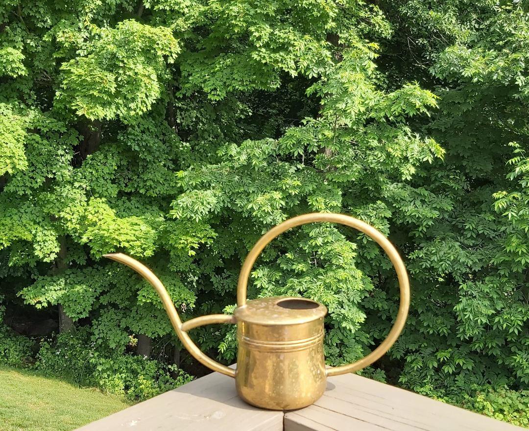 Vintage MidCentury American Brass Watering Can 3 cup capacity!