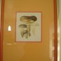 Art work by H.S for Sauder Inc (Subject) Mushrooms.