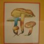 Art work by H.S for Sauder Inc (Subject) Mushrooms.