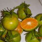 100% Natural Orange Essential Oil 1fl.oz.( 30 ml.) from Thailand