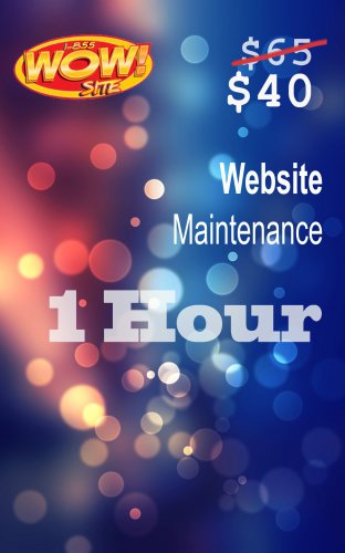 Website WOWsite Gift Card "(1) One hour of maintenance to any Website"