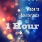 Website WOWsite Gift Card "(1) One hour of maintenance to any Website"