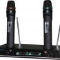 Audio2000 Awm6112 dual wireless microphones karaoke microphones rechargeable