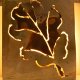 Oak Leaf Luminary