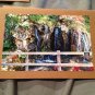 Ireland Lanscape Photo Blank Greeting Cards