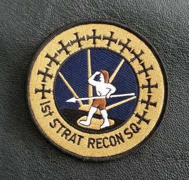 1ST. STRAT RECON SQ.SR-71 BLACKBIRD SKUNK WRKS NASA USAF SQUADRON MILITARY PATCH
