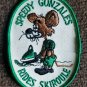 Vintage 1970s SPEEDY RIDES SKIROULE Snowmobile Racing Jacket patch NOS sew on