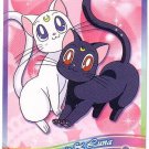 Sailor Moon Super S World 3 Carddass EX3 Regular Card - N11 Sailor Moon Super S World 3 Carddass EX3 Regular Card - N11