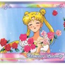 Sailor Moon Super S World 3 Carddass EX3 Regular Card - N32 Sailor Moon Super S World 3 Carddass EX3 Regular Card - N32