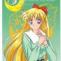 Sailor Moon R Pull Pack PP 7 Regular Card #366
