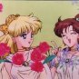 Sailor Moon Seika Note Movic Photo Card #0894-D