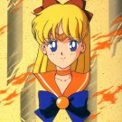 Sailor Moon R Pencil Board Jumbo Banpresto Card #2
