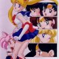 Sailor Moon Seika Note Movic Photo Card #1293-C