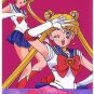 Sailor Moon R Pull Pack PP 7 Regular Card #360
