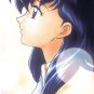 Inu Yasha Inuyasha Bromide 1 Regular Card #N9
