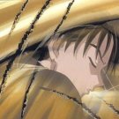 Inu Yasha Inuyasha Bromide 4 Regular Card #N127 Inu Yasha Inuyasha Bromide 4 Regular Card #N127