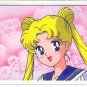 Sailor Moon Seika Note Idol Laminated Card #0294A