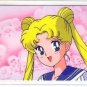 Sailor Moon Seika Note Idol Laminated Card #0294A