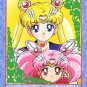 Sailor Moon Super S Bromide DX Regular Card - Super Double Moon